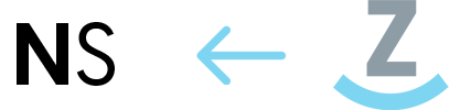 Zoey to NetSuite data flow