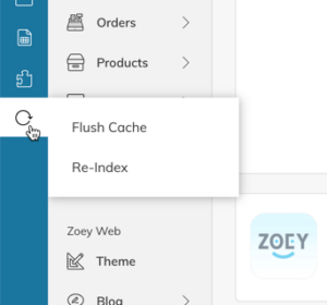 Zoey flush cache and reindex