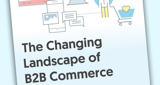 The Changing Landscape of B2B Commerce
