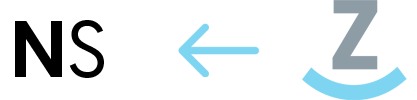 Zoey to NetSuite data flow