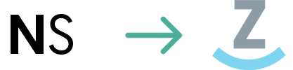 NetSuite to Zoey data flow